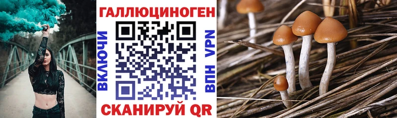 Галлюциногенные грибы прущие грибы  хочу наркоту  Миньяр 